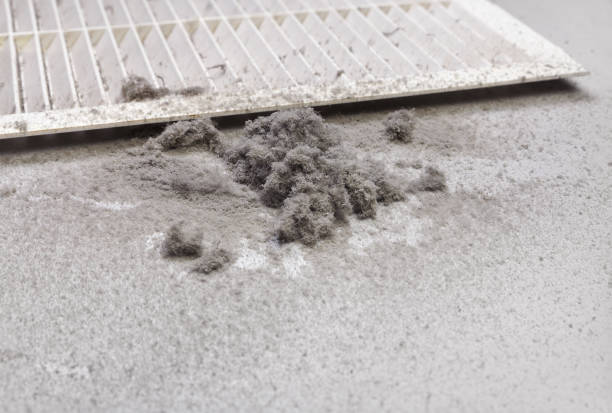 Best Local Air Duct Cleaning Services  in Maili, HI